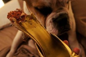 Фото прикол