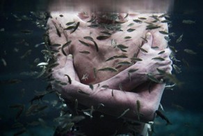 Рыбка-доктор лечит кожные заболевания (12 фото)