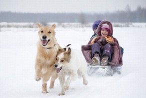 Новый фотоприкол