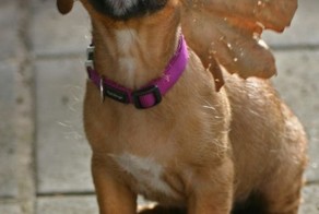 Смешные картинки