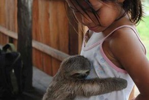 Смешные картинки