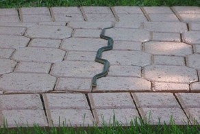 Шикарное фото