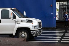 Роскошь болотная (3 фото)