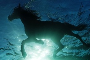 Фотоприкол бесплатно