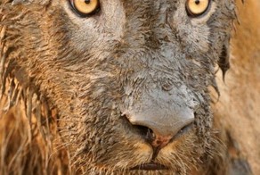 Фотоприкол фото