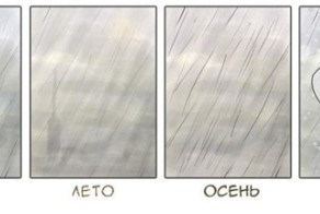 Новый фотоприкол