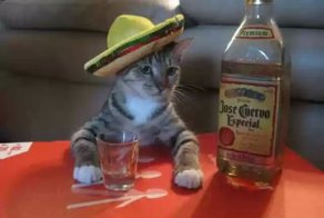 Смешные рисунки