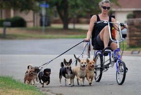 Смешные рисунки