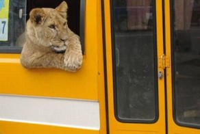 Фотоподборка