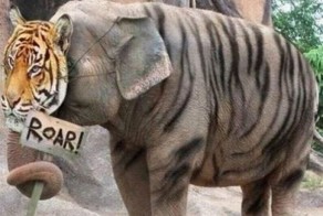 Бугагашеньки