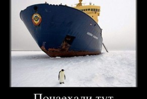 Смешной демотиватор от zubrilov за 19.10.2011 №91484