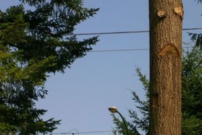 Пикантный фотоприкол