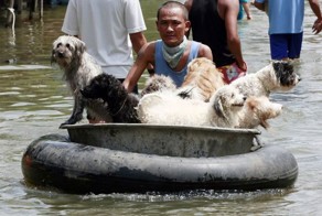 Фото онлайн