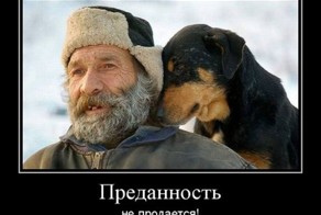 Смешной демотиватор от zubrilov за 21.10.2011 №91895