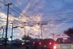 Улетное фото