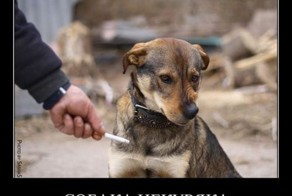 Смешной демотиватор от zubrilov за 28.10.2011 №92593