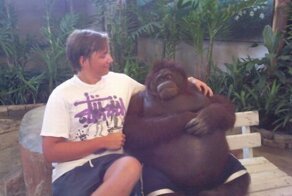 Смешные рисунки