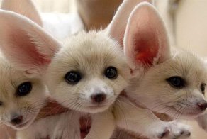 Фотоприкол недели