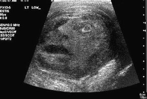 Красивые фото