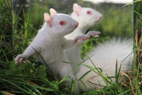 Фотоприкол бесплатно