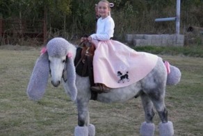 Бесплатно фото