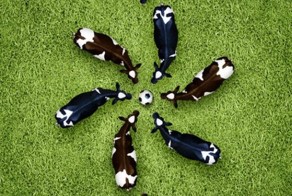 Фотоподборка