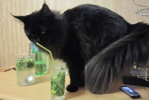 Прикольные фото