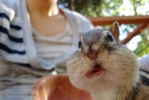 Новый фотоприкол