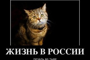 Смешной демотиватор от zubrilov за 11.11.2011 №93855