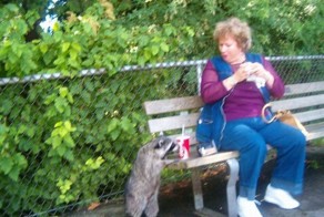 Пикантный фотоприкол