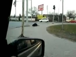 Подборка роликов от 16.08.2011