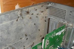 Смешной фотоприкол