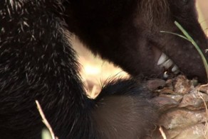 Свежий фотоприкол