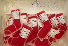 Фотоприкол онлайн бесплатно