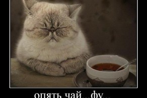 Смешной демотиватор от zubrilov за 25.11.2011 №95349