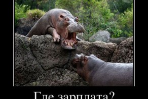 Смешной демотиватор от zubrilov за 25.11.2011 №95375