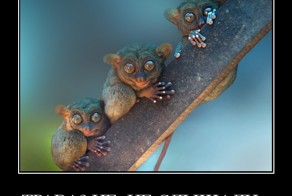 Трава? Не, не слышали...