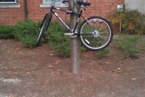 Фотоприкол дня