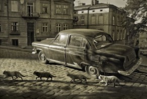 Фотоприкол онлайн