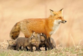 Зачетное фото