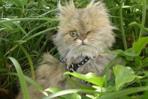 Красивые фото