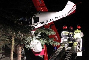 Самолет приземлился на дерево (4 фото)