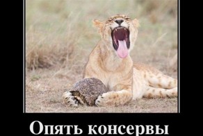 Смешной демотиватор от zubrilov за 30.11.2011 №95773