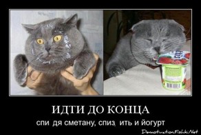 Демотиватор