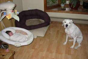 Смешные картинки