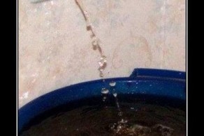 Смешной демотиватор от zubrilov за 02.12.2011 №96076