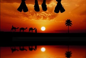 Пикантный фотоприкол