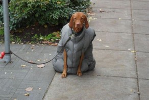 Фотоприкол онлайн