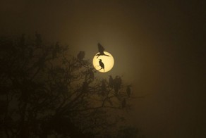 Фотоприкол