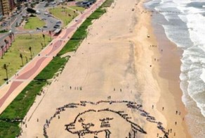 Фотоподборка